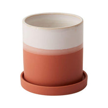 Load image into Gallery viewer, 'Create Your Own Sunshine' Gift Box- 1 succulent