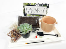 Load image into Gallery viewer, 'Grow Baby Grow' Gift Box- 1 succulent