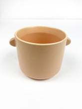 Load image into Gallery viewer, 'Grow Baby Grow' Gift Box- 1 succulent