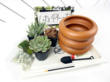 Load image into Gallery viewer, 'Growing & Glowing' Gift Box- 3 succulents