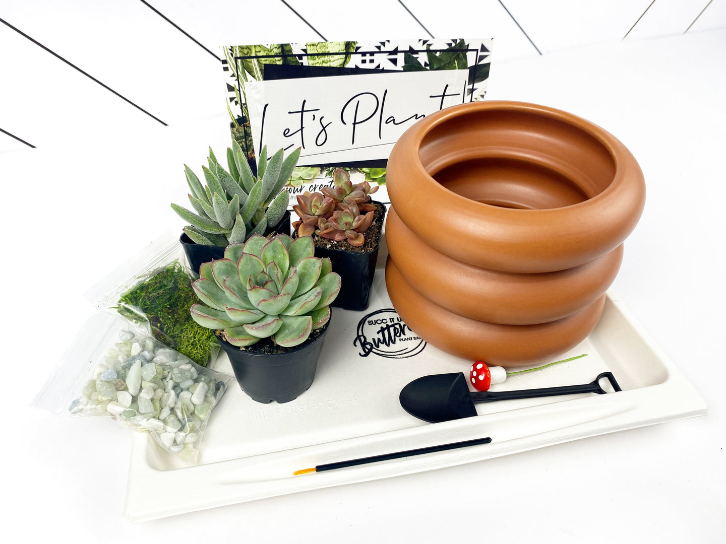 'Growing & Glowing' Gift Box- 3 succulents