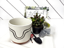 Load image into Gallery viewer, 'Growing & Glowing' Gift Box- 1 succulent
