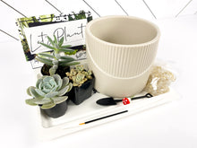 Load image into Gallery viewer, 'Grow Through What You Go Through' Gift Box-3 succulents