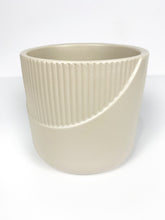 Load image into Gallery viewer, 'Grow Through What You Go Through' Gift Box-3 succulents