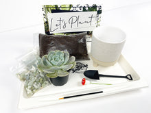 Load image into Gallery viewer, 'Grow With The Flow' Gift Box- 1 succulent