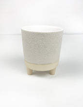 Load image into Gallery viewer, 'Grow With The Flow' Gift Box- 1 succulent