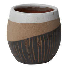 Load image into Gallery viewer, 'Home Is Where My Plants Are' Gift Box- 3 succulents