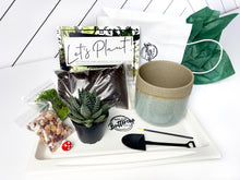 Load image into Gallery viewer, &#39;Life Would Succ Without You&#39; Pot- Succulent Party Package
