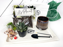 Load image into Gallery viewer, &#39;I Will Survive&#39; Pot- Succulent Party Package
