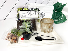 Load image into Gallery viewer, &#39;You&#39;re Plantastic&#39; Pot- Succulent Party Package
