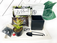 Load image into Gallery viewer, &#39;Oh For Succs Sake&#39; Pot- Succulent Party Package
