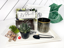 Load image into Gallery viewer, &#39;Grow Your Own Way&#39; Pot- Succulent Party Package
