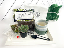 Load image into Gallery viewer, &#39;Let&#39;s Party Succers&#39; Pot- Succulent Party Package
