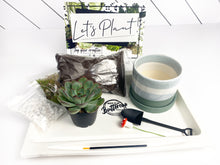 Load image into Gallery viewer, &#39;Let&#39;s Party Succers&#39; Gift Box- 1 succulent
