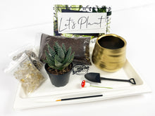 Load image into Gallery viewer, 'I Plant Even' Gift Box- 1 succulent