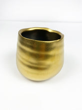 Load image into Gallery viewer, 'I Plant Even' Gift Box- 1 succulent