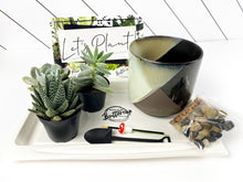 Load image into Gallery viewer, 'Let Love Grow' Gift Box- 3 succulents