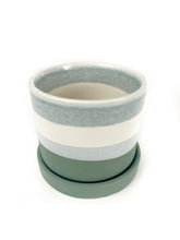 Load image into Gallery viewer, 'Let's Party Succers' Gift Box- 1 succulent