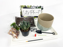 Load image into Gallery viewer, &#39;Life Would Succ Without You&#39; Gift Box- 1 succulent
