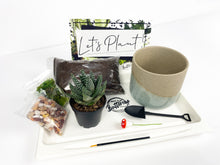 Load image into Gallery viewer, 'Life Would Succ Without You' Gift Box- 1 succulent