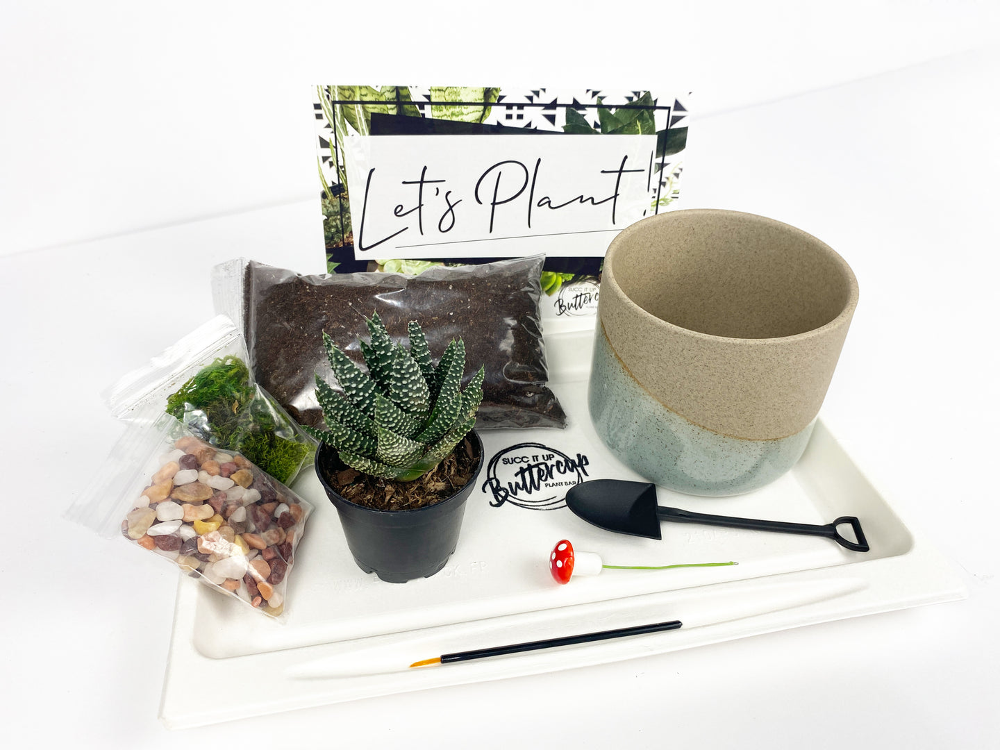 'Life Would Succ Without You' Gift Box- 1 succulent