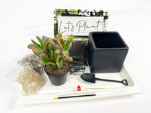 Load image into Gallery viewer, &#39;Oh For Succs Sake&#39; Gift Box- 1 succulent

