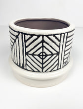 Load image into Gallery viewer, 'Rooting For You' Gift Box- 3 succulents