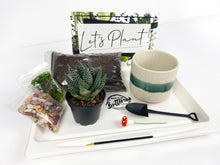 Load image into Gallery viewer, 'So Fresh and So Green' Gift Box- 1 succulent