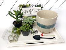 Load image into Gallery viewer, 'So Fresh and So Green' Gift Box- 3 succulents