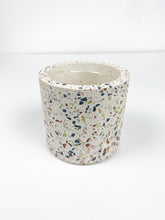 Load image into Gallery viewer, 'Succ It Up' Gift Box-1 succulent