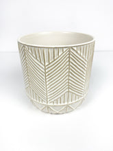 Load image into Gallery viewer, 'Succ Yeah' Gift Box- 3 succulents