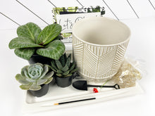 Load image into Gallery viewer, &#39;Succ Yeah&#39; Gift Box- 3 succulents
