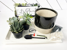 Load image into Gallery viewer, 'What the Succ' Gift Box- 3 succulents