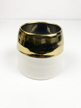 Load image into Gallery viewer, 'What Up Succa' Gift Box- 1 succulent