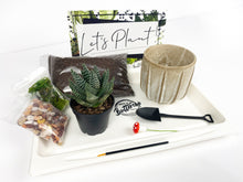 Load image into Gallery viewer, 'You're Plantastic' Gift Box-1 succulent