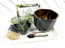 Load image into Gallery viewer, &#39;You Don&#39;t Succ&#39; Gift Box- 3 succulents
