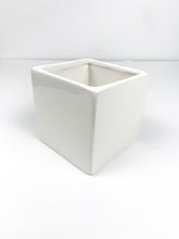 Load image into Gallery viewer, 'You Grow Girl' Gift Box- 1 succulent