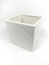 Load image into Gallery viewer, 'You Grow Girl' Gift Box- 3 succulents