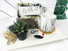 Load image into Gallery viewer, Succulent Party Package-Marble Design Containers (starts at 5 guests)
