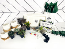 Load image into Gallery viewer, Succulent Party Package-White Geometrical Containers (starts at 5 guests)
