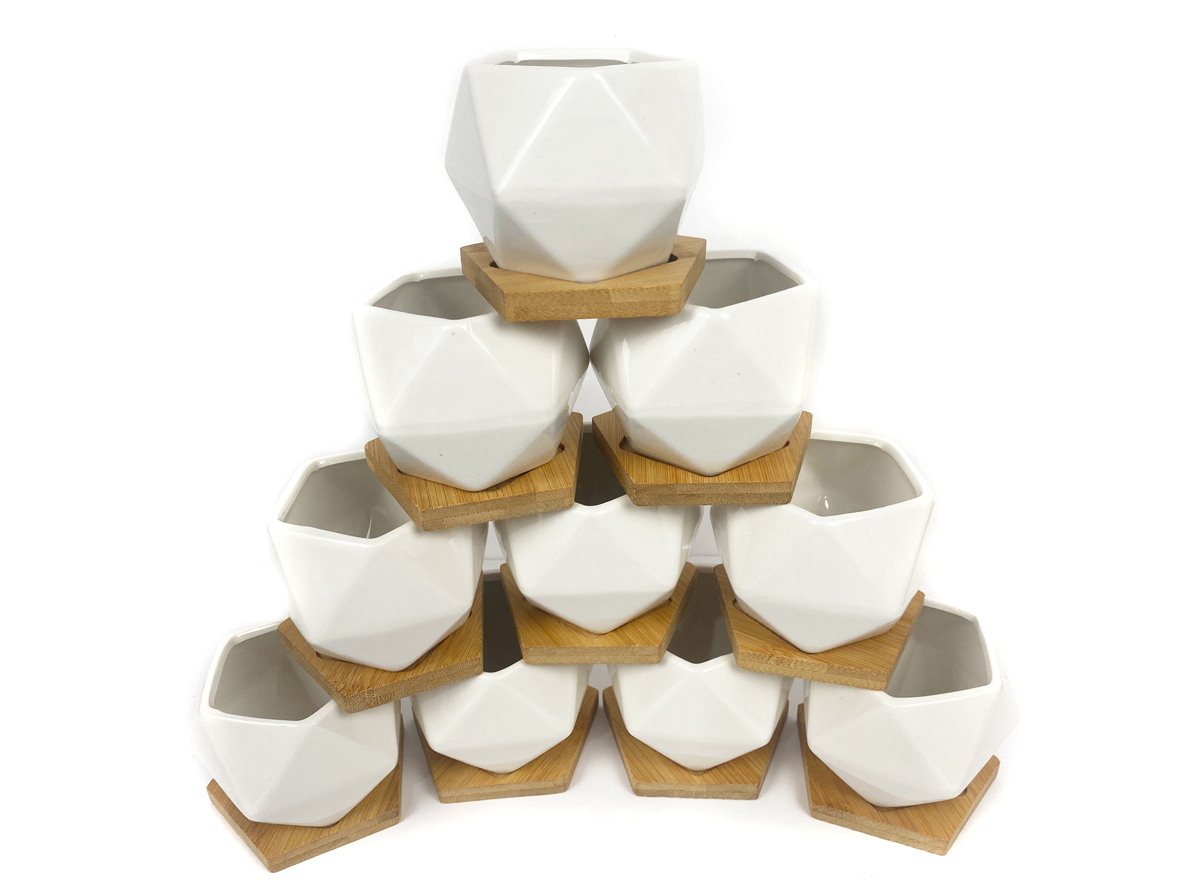 Succulent Party Package-White Geometrical Containers (starts at 5 gues ...
