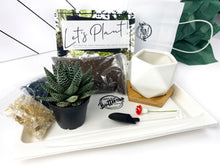 Load image into Gallery viewer, Succulent Party Package-White Geometrical Containers (starts at 5 guests)

