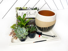 Load image into Gallery viewer, &#39;Home Is Where My Plants Are&#39; Gift Box- 3 succulents
