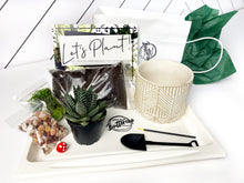 Load image into Gallery viewer, &#39;Succ Yeah&#39; Pot- Succulent Party Package
