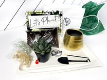 Load image into Gallery viewer, &#39;I Plant Even&#39; Pot- Succulent Party Package
