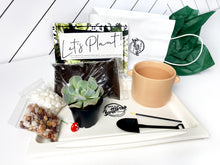 Load image into Gallery viewer, &#39;Grow Baby Grow&#39; Pot- Succulent Party Package
