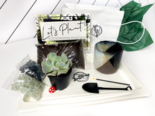 Load image into Gallery viewer, &#39;Let Love Grow&#39; Pot- Succulent Party Package
