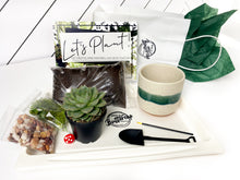 Load image into Gallery viewer, &#39;So Fresh and So Green&#39; Pot- Succulent Party Package

