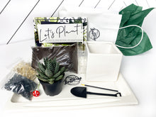 Load image into Gallery viewer, &#39;You Grow Girl&#39; Pot- Succulent Party Package
