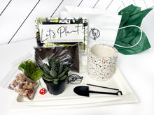 Load image into Gallery viewer, &#39;Succ It Up&#39; Pot- Succulent Party Package
